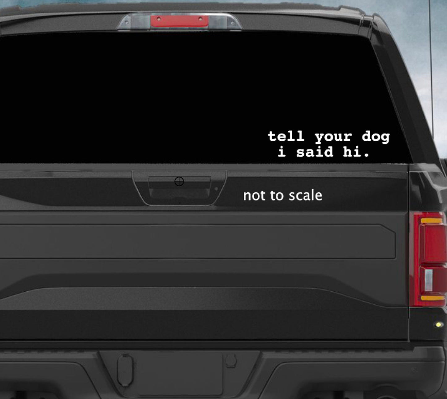 Tell Your Horse I said Hay vehicle decal, tell your horse I said hay bumper sticker, horse decal, horse humour sticker, horse lover, cowgirl